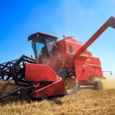 A red combine harvesting wheat.